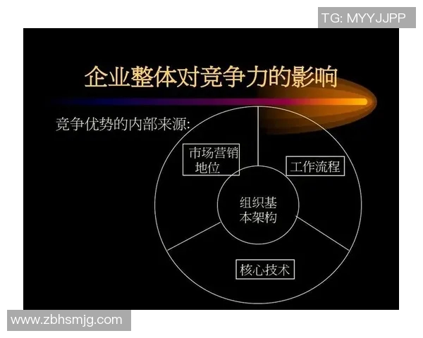 MFS拉与巴斯顺达的市场竞争分析与发展前景探讨